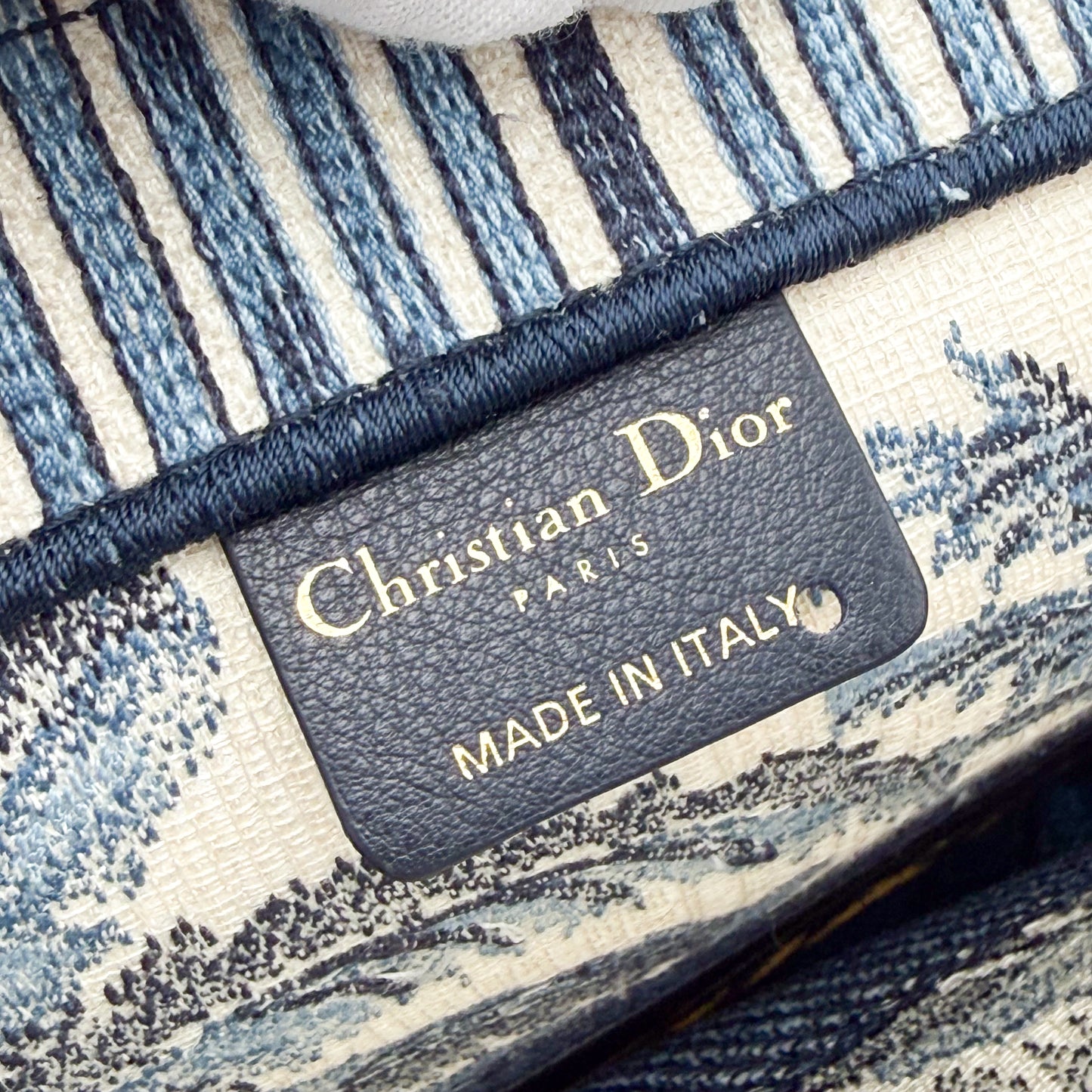 Dior Christian Dior Book Tote Toile de Jouy Palms Embroidered Canvas Bag