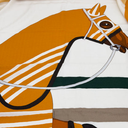 Hermès shawl, bridle and eye print detail