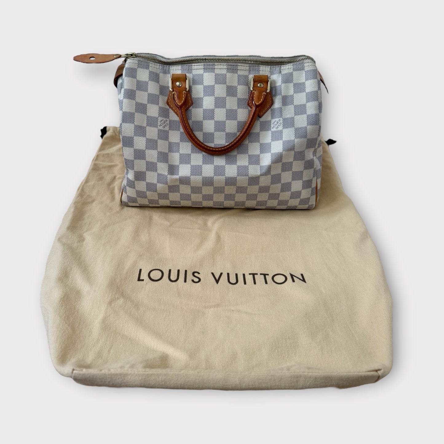 Louis Vuitton Speedy 30 Bag