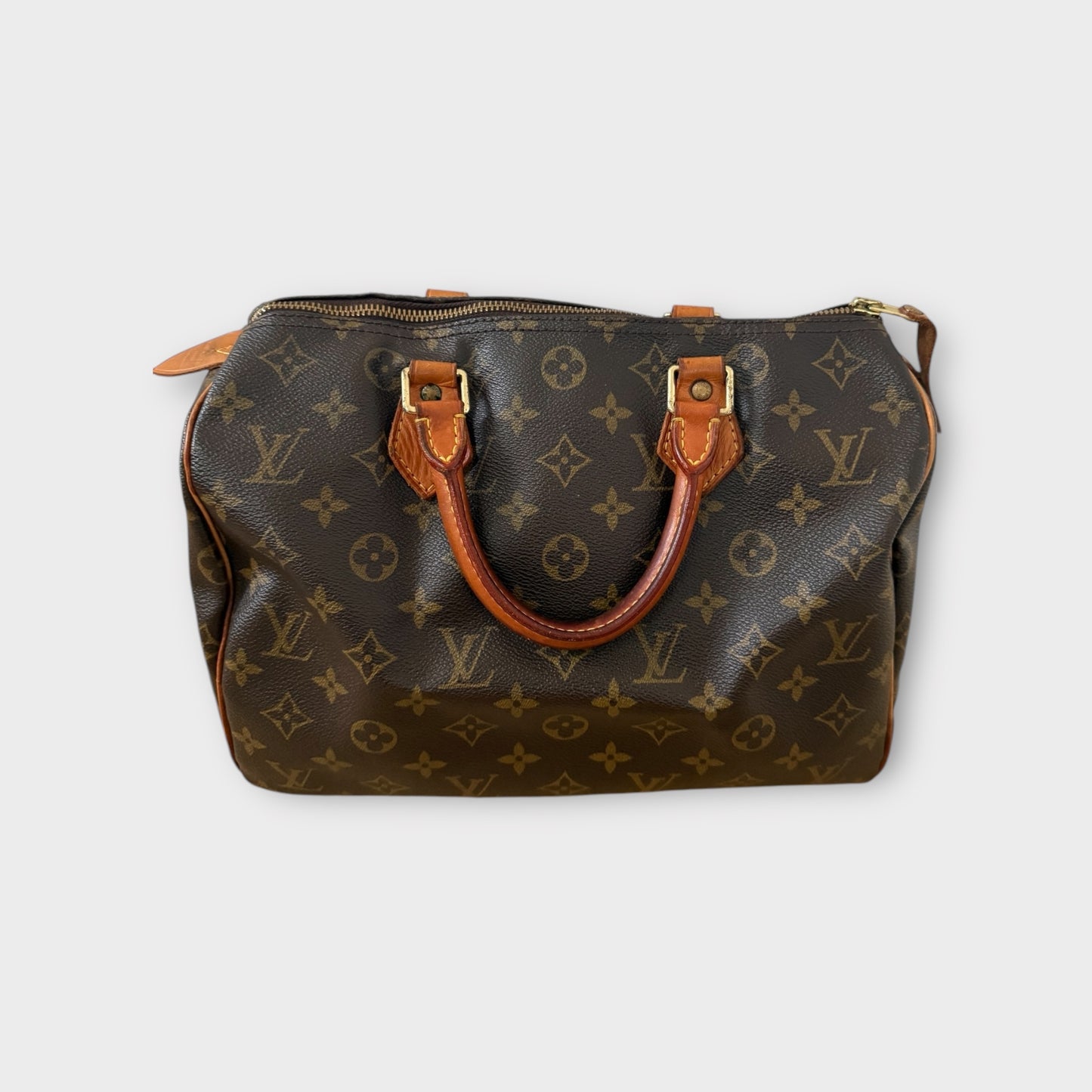 Louis Vuitton Speedy 30 Bag