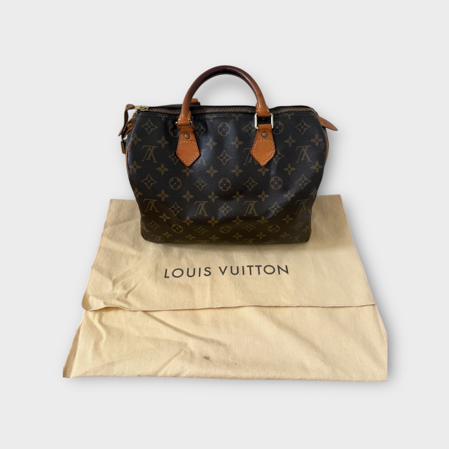 Louis Vuitton Speedy 30 Bag