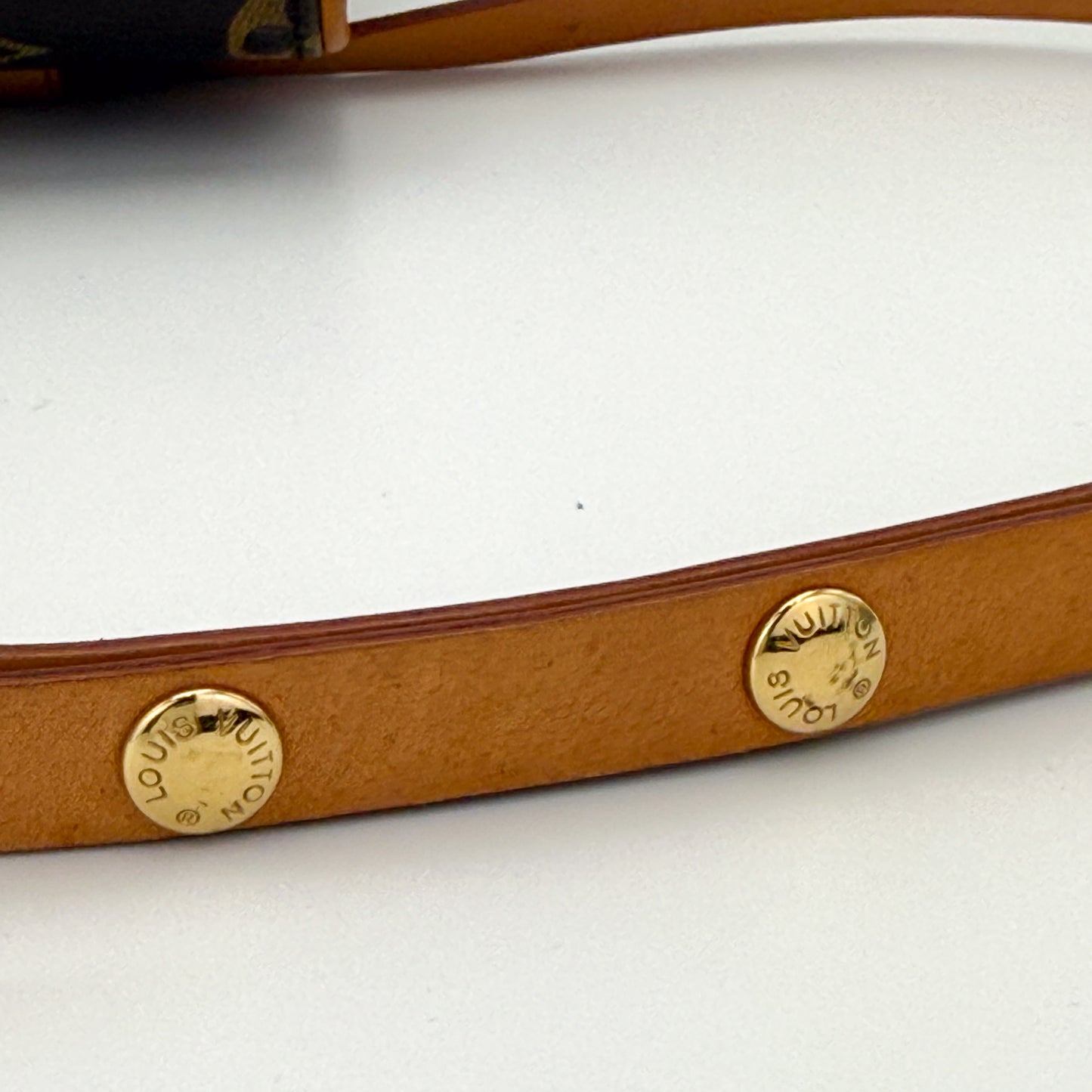 Louis Vuitton Monogram Pochette Florentine Belt Bag