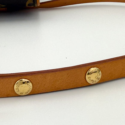 Louis Vuitton Monogram Pochette Florentine Belt Bag